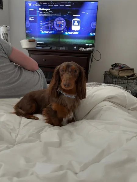 Cooper